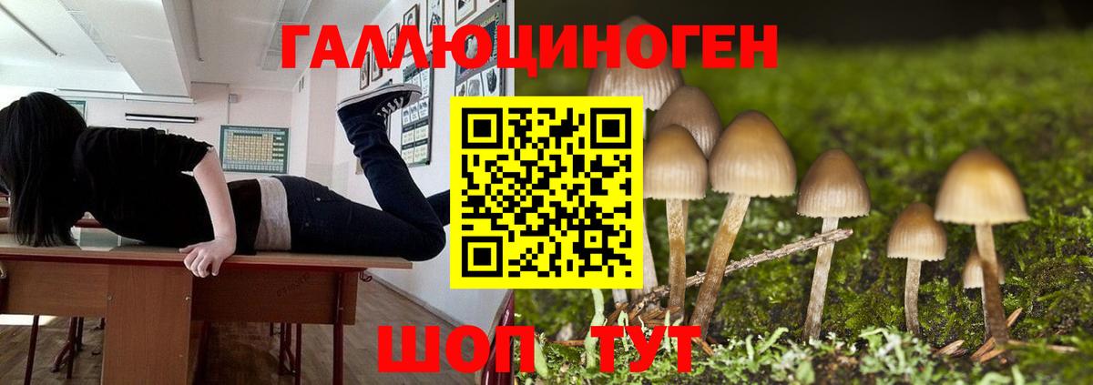 Каменск-Уральский  цена   Псилоцибиновые грибы Psilocybine cubensis  Вход с VPN  Галлюциногенные грибы прущие грибы 